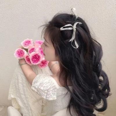 皮革先生